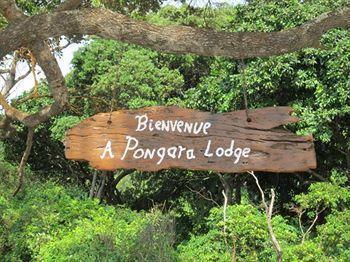 Pongara Lodge Libreville Kültér fotó